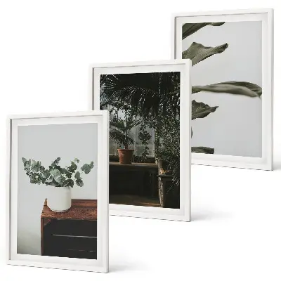 Lot de 3 tableaux pour salon motif plantes rustiques en pot