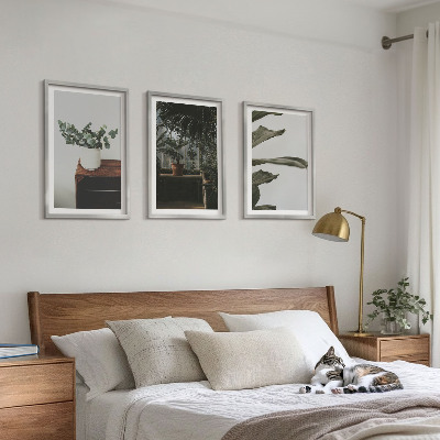 Lot de 3 tableaux pour salon Plantes rustiques en pot