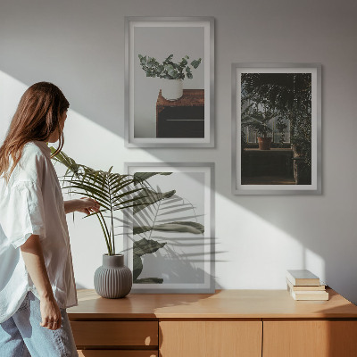 Lot de 3 tableaux pour salon Plantes rustiques en pot