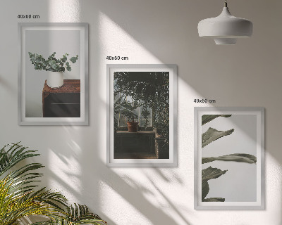 Lot de 3 tableaux pour salon Plantes rustiques en pot