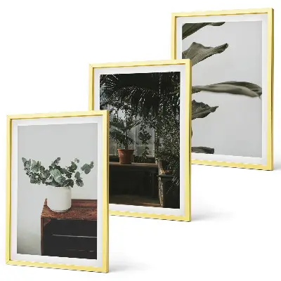 Lot de 3 tableaux pour salon motif plantes rustiques en pot