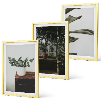 Lot de 3 tableaux pour salon Plantes rustiques en pot