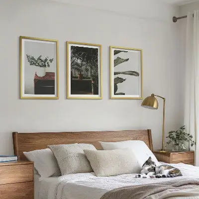 Lot de 3 tableaux pour salon motif plantes rustiques en pot