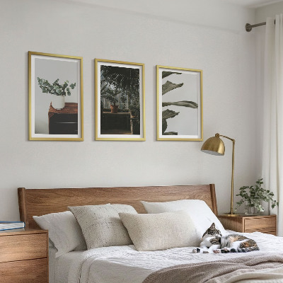 Lot de 3 tableaux pour salon Plantes rustiques en pot
