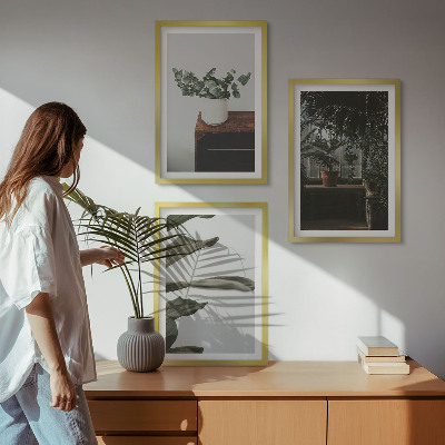 Lot de 3 tableaux pour salon Plantes rustiques en pot