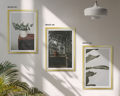 Lot de 3 tableaux pour salon Plantes rustiques en pot