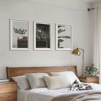 Lot de 3 tableaux pour salon Plantes rustiques en pot
