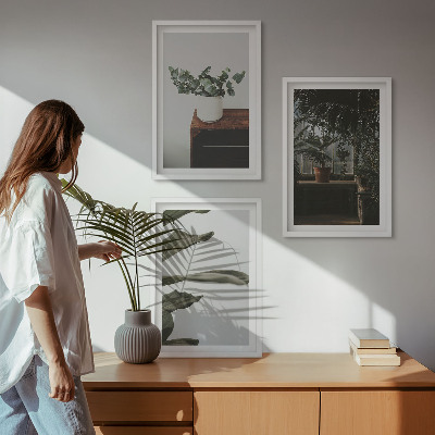 Lot de 3 tableaux pour salon Plantes rustiques en pot