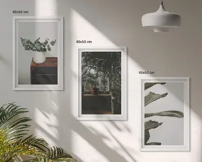 Lot de 3 tableaux pour salon motif plantes rustiques en pot