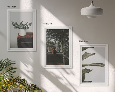 Lot de 3 tableaux pour salon Plantes rustiques en pot