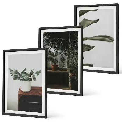 Lot de 3 tableaux pour salon motif plantes rustiques en pot