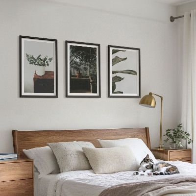 Lot de 3 tableaux pour salon Plantes rustiques en pot