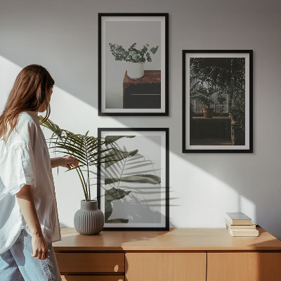 Lot de 3 tableaux pour salon Plantes rustiques en pot