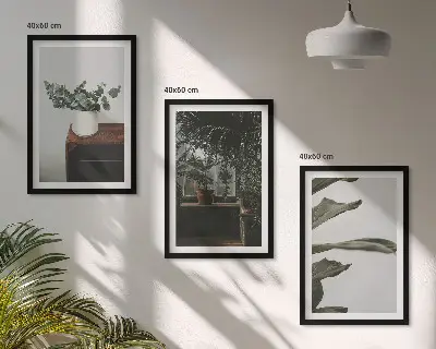 Lot de 3 tableaux pour salon motif plantes rustiques en pot