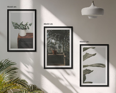 Lot de 3 tableaux pour salon Plantes rustiques en pot