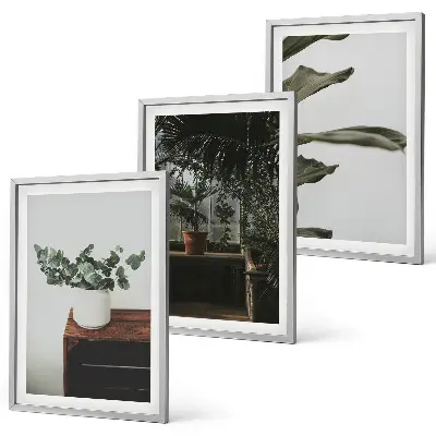 Lot de 3 tableaux pour salon motif plantes rustiques en pot