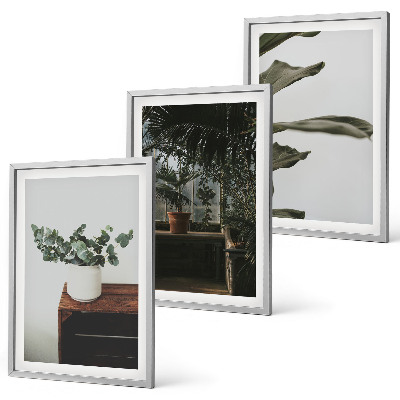 Lot de 3 tableaux pour salon Plantes rustiques en pot
