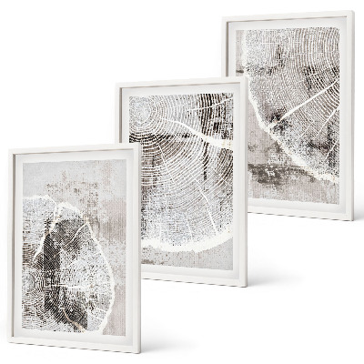 Lot de 3 tableaux pour salon Motifs de grain de bois gris