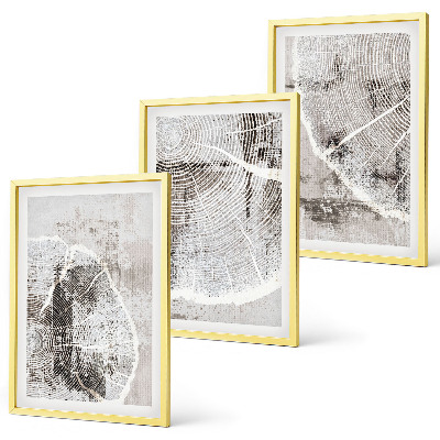 Lot de 3 tableaux pour salon Motifs de grain de bois gris