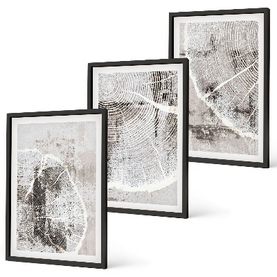Lot de 3 tableaux pour salon Motifs de grain de bois gris