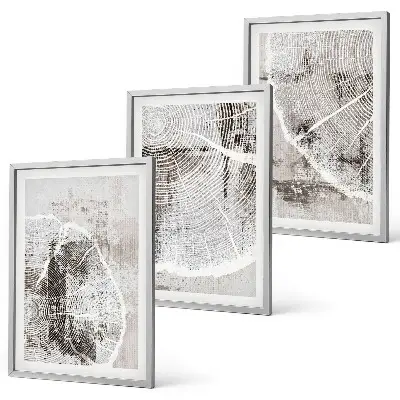 Lot de 3 tableaux pour salon avec motifs imitant le bois gris