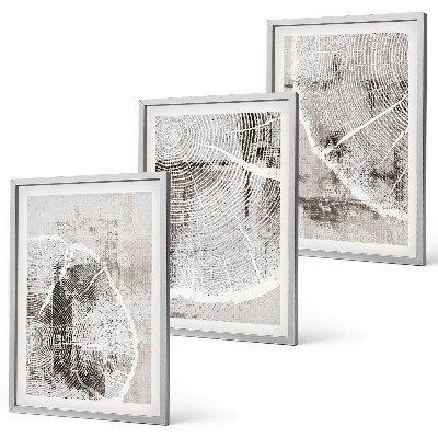 Lot de 3 tableaux pour salon Motifs de grain de bois gris