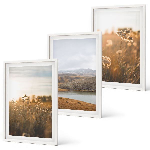Cadre photo mural Paysages prairies montagnes lac