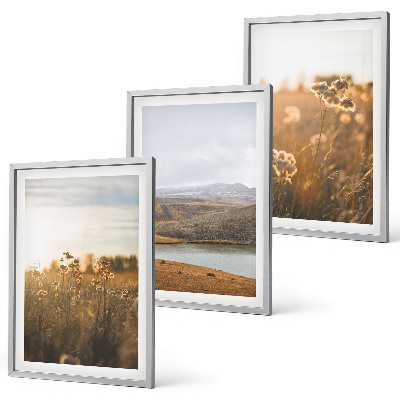 Cadre photo mural Paysages prairies montagnes lac