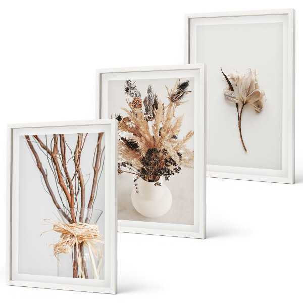 Cadre photo mural Fleurs et branches minimalistes