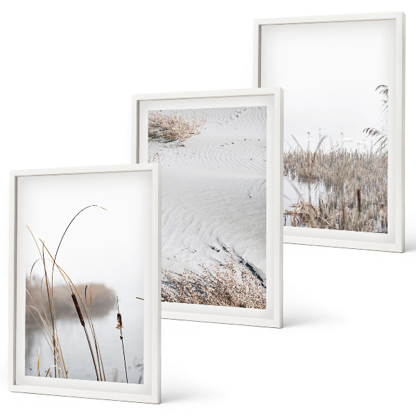 Lot de 3 tableaux pour salon Végétation aquatique en été