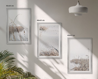 Lot de 3 tableaux pour salon Végétation aquatique en été