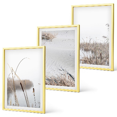 Lot de 3 tableaux pour salon Végétation aquatique en été