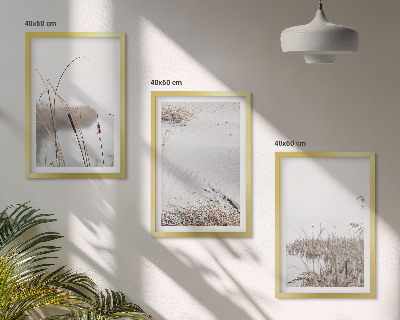 Lot de 3 tableaux pour salon Végétation aquatique en été