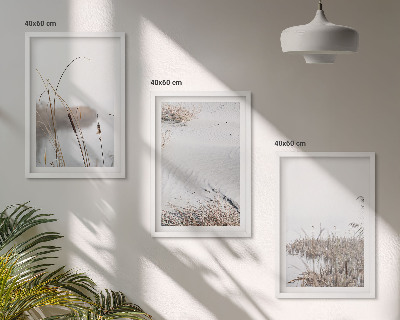 Lot de 3 tableaux pour salon Végétation aquatique en été