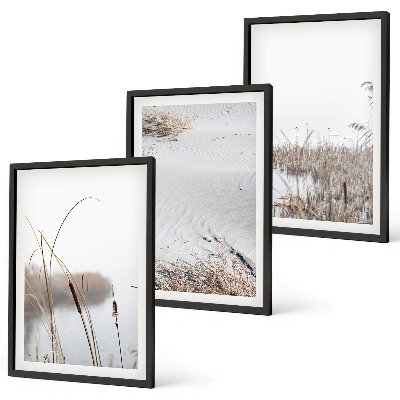 Lot de 3 tableaux pour salon Végétation aquatique en été
