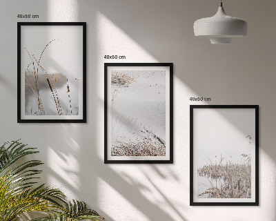 Lot de 3 tableaux pour salon Végétation aquatique en été