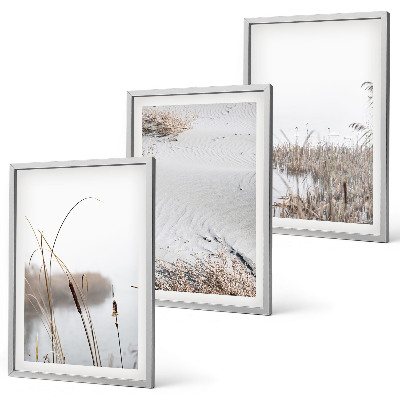 Lot de 3 tableaux pour salon Végétation aquatique en été