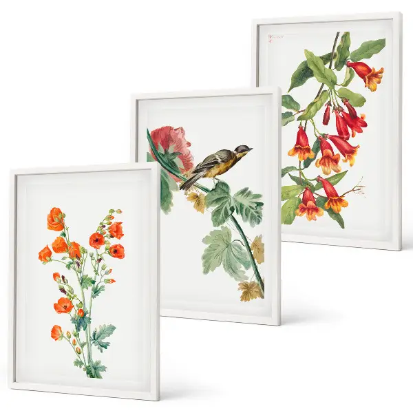 Lot de 3 tableaux pour salon motif de fleurs peintes et oiseau