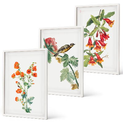 Lot de 3 tableaux pour salon Des fleurs peintes et un oiseau