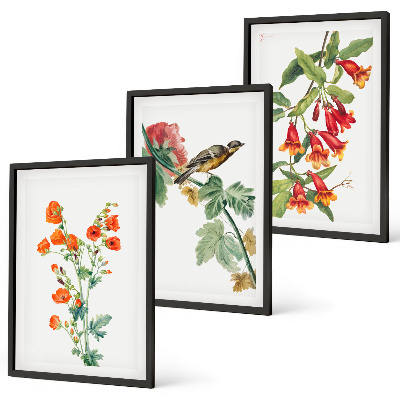 Lot de 3 tableaux pour salon Des fleurs peintes et un oiseau