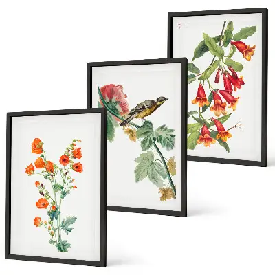 Lot de 3 tableaux pour salon motif de fleurs peintes et oiseau