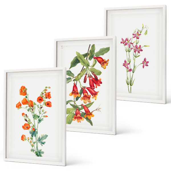 Cadre photo mural Peinture florale rétro vintage