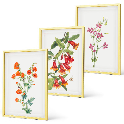 Cadre photo mural Peinture florale rétro vintage