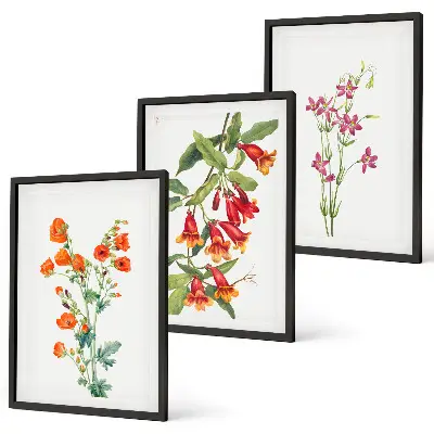 Cadre photo mural peinture florale au style rétro vintage