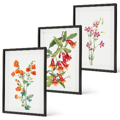 Cadre photo mural Peinture florale rétro vintage