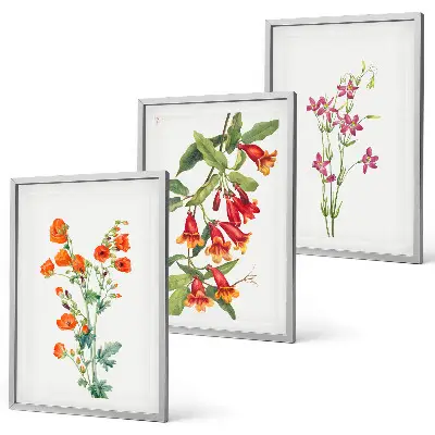 Cadre photo mural peinture florale au style rétro vintage