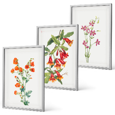 Cadre photo mural Peinture florale rétro vintage