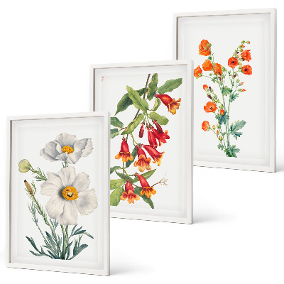 Lot de 3 tableaux pour salon Compositions florales rétro