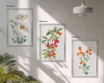 Lot de 3 tableaux pour salon Compositions florales rétro