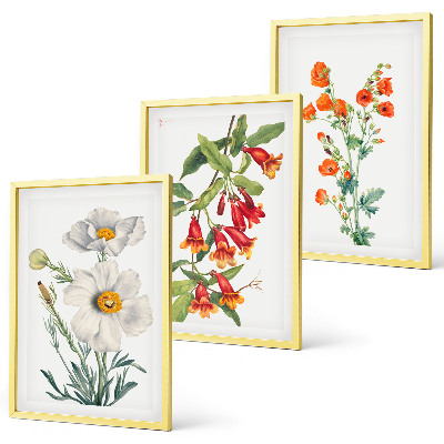 Lot de 3 tableaux pour salon Compositions florales rétro